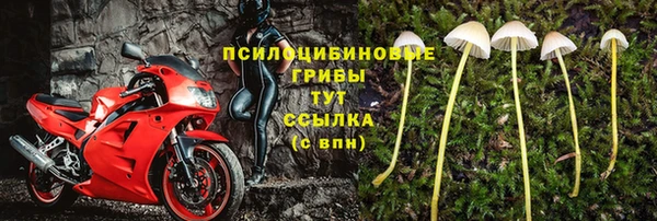 кокс Абдулино