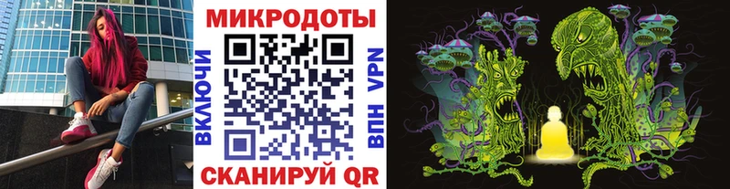 где можно купить   Усмань  Псилоцибиновые грибы Psilocybe 